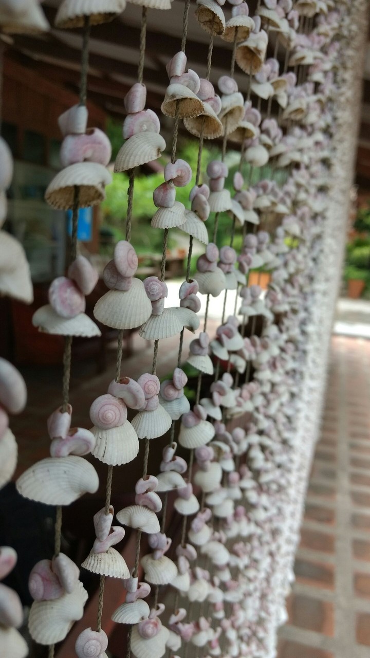 nature's beauty