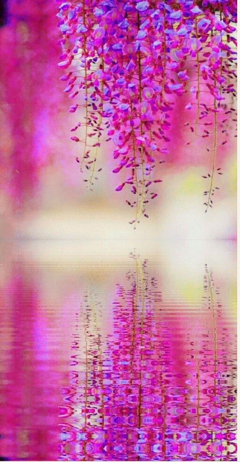 reflections