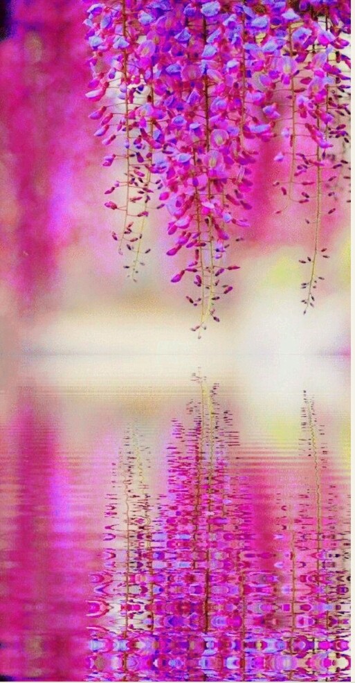 reflections