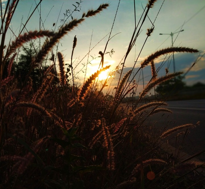 Morning