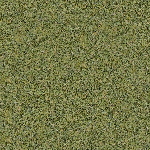 tapety grasses, Rug
