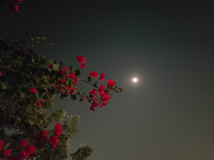 full moon