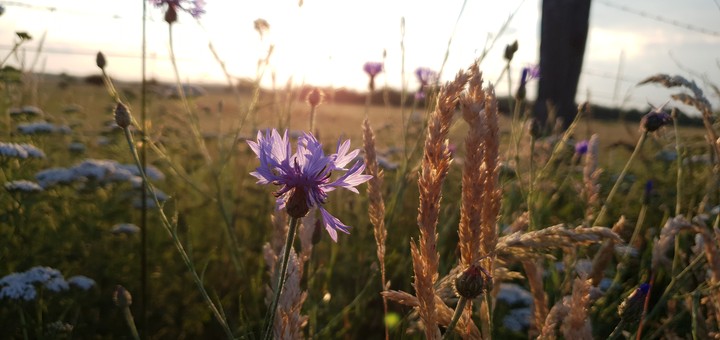 frische Luft