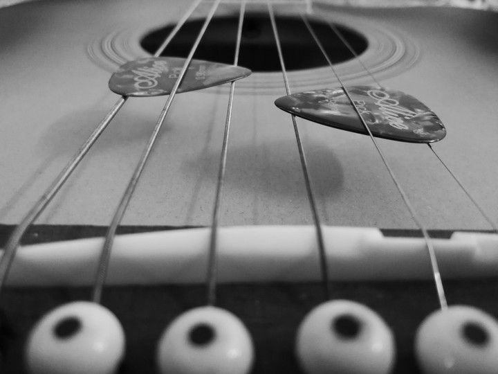 Guitar 
