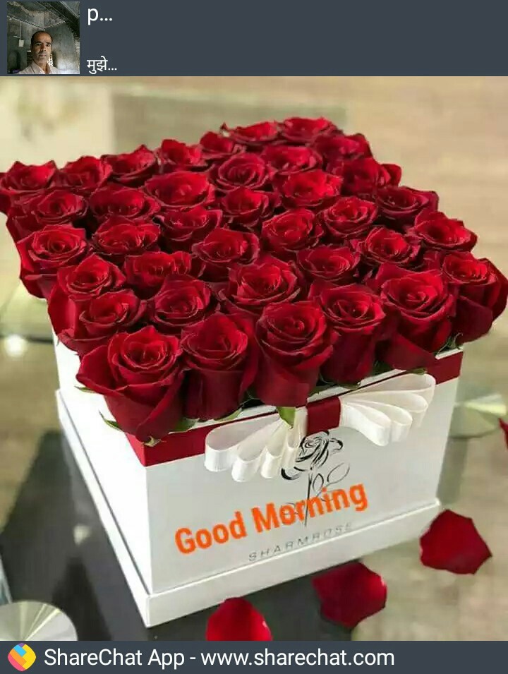 good morning