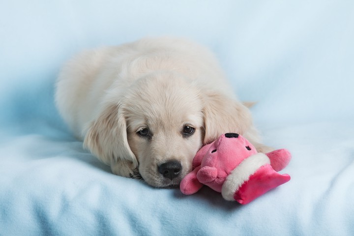 cuteness