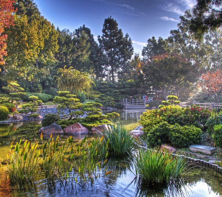 nature
