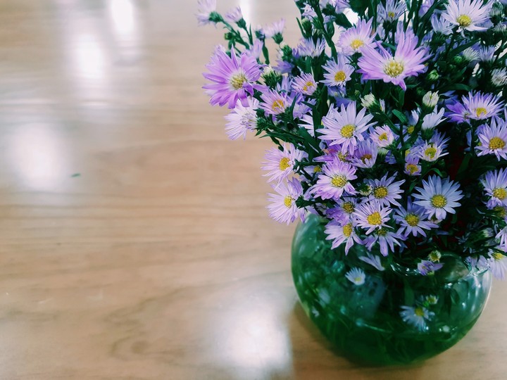 flowers
