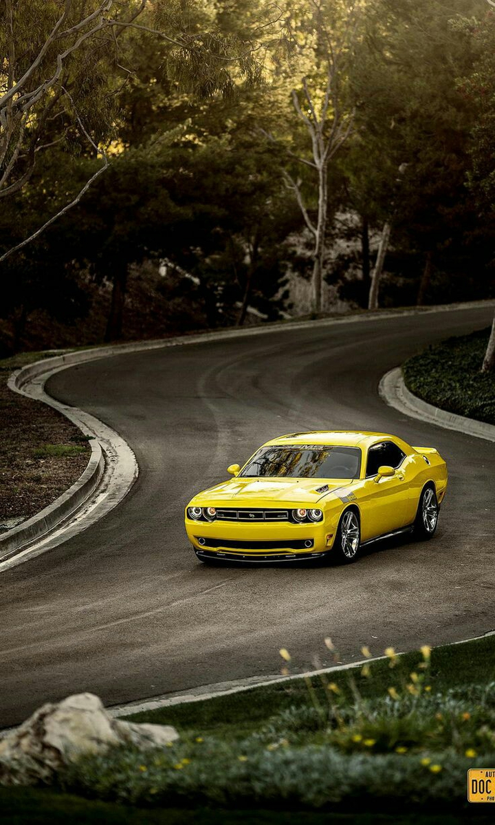 yelloq