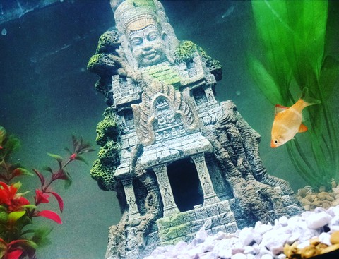 Temple