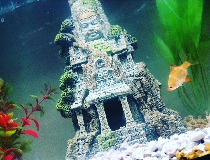 Temple