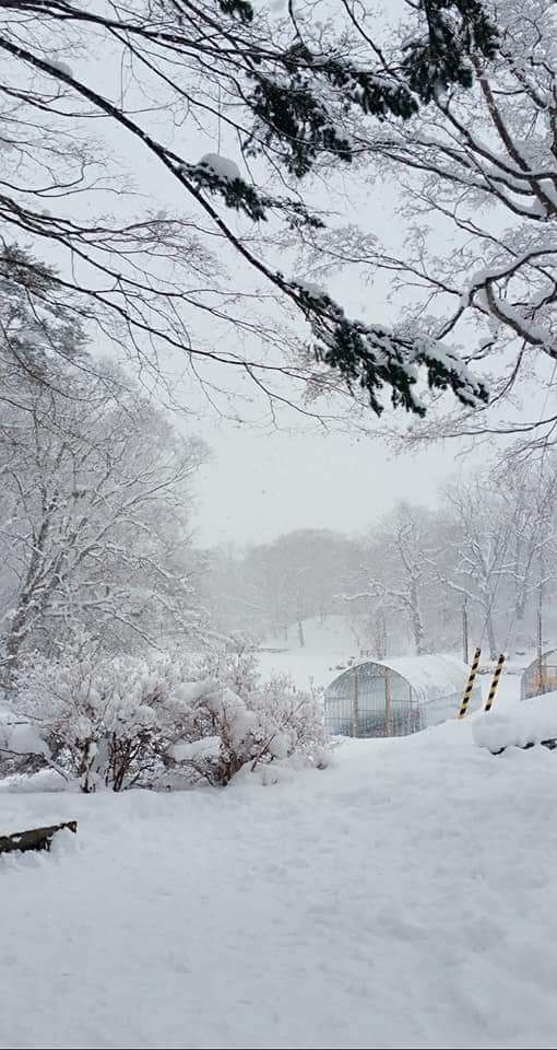 Snow
