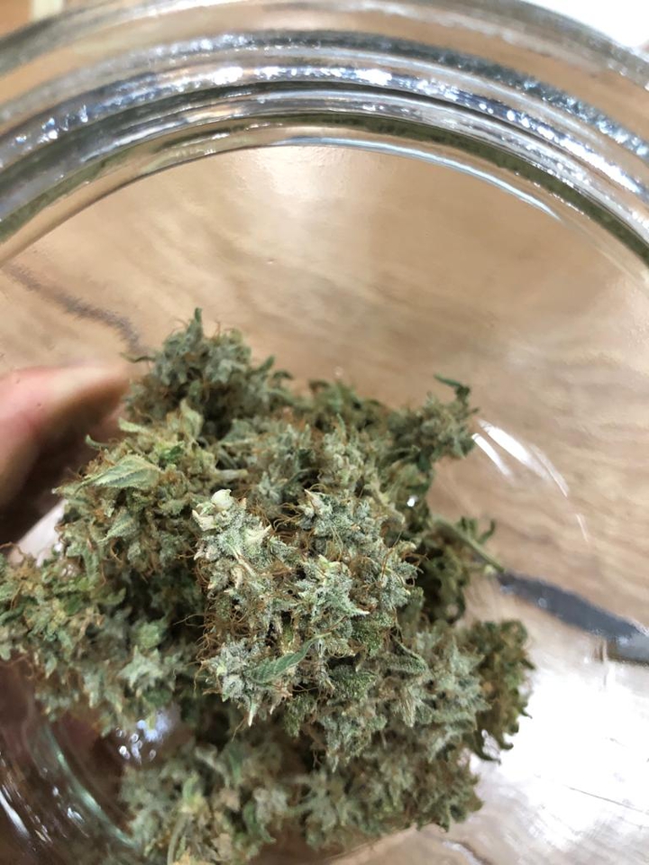 high life