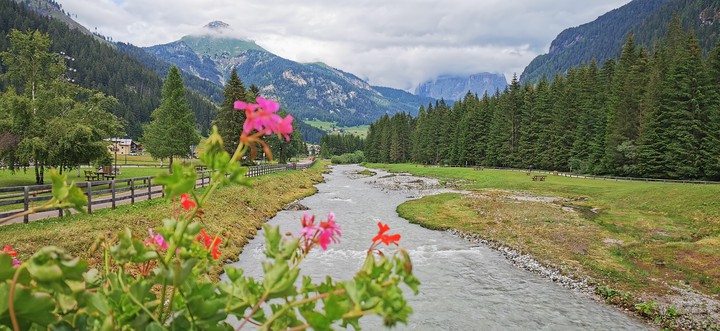 fiori