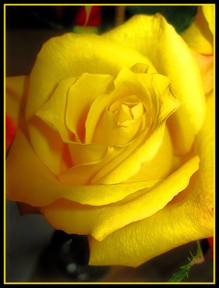 Beautiful Essence