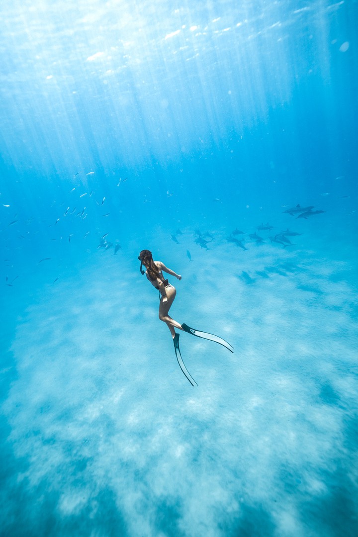 Under da Sea!