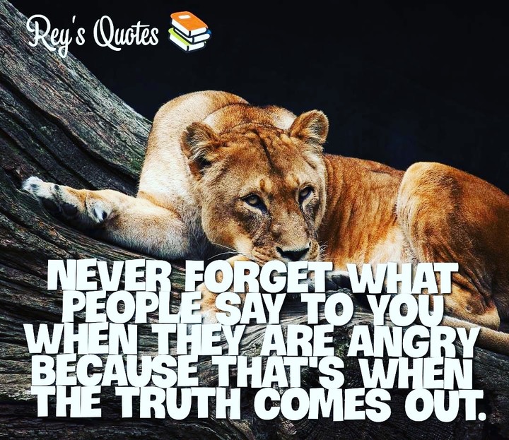 Rey's Quotes
