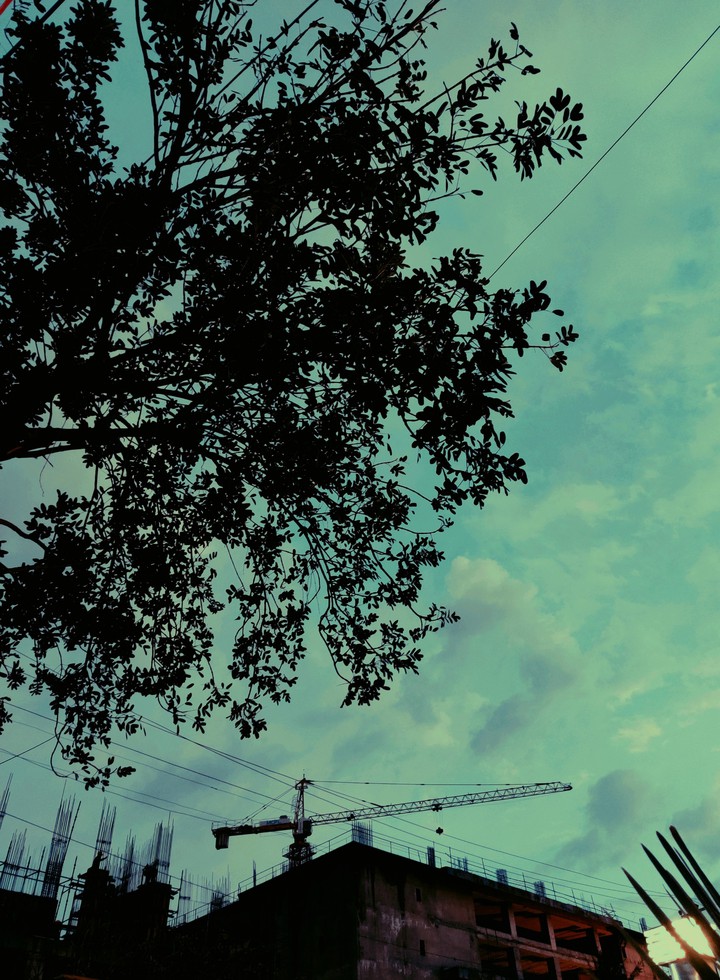 Constructing the world
