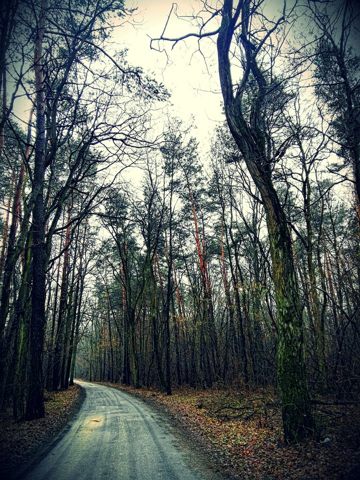 a road