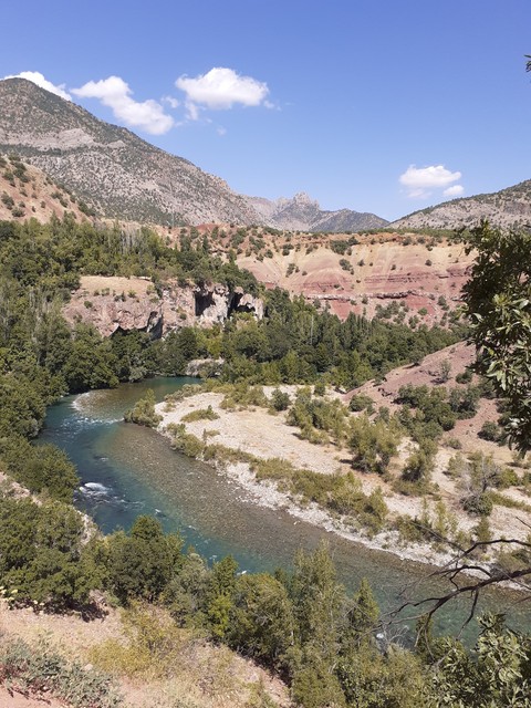 manzara