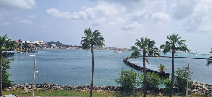 mar y palmeras