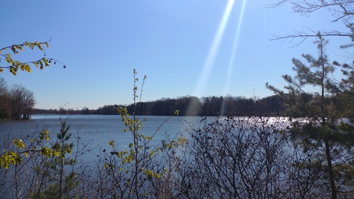 lake view
