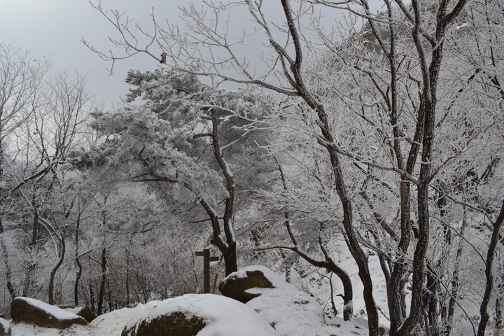 관악산의겨울이미지