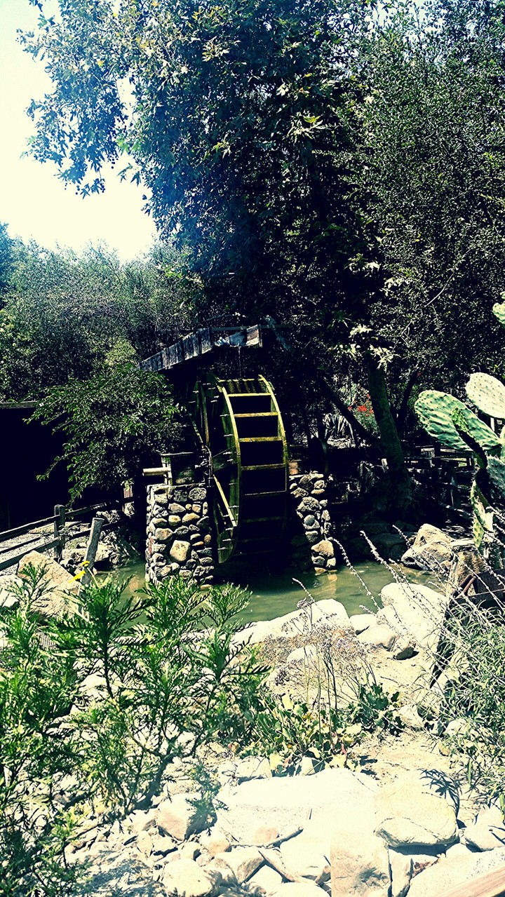 Water Wheel