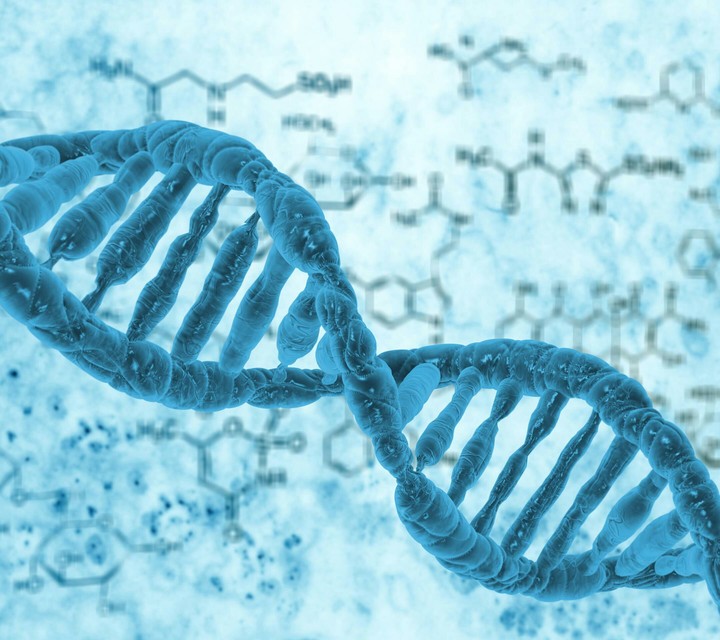 DNA