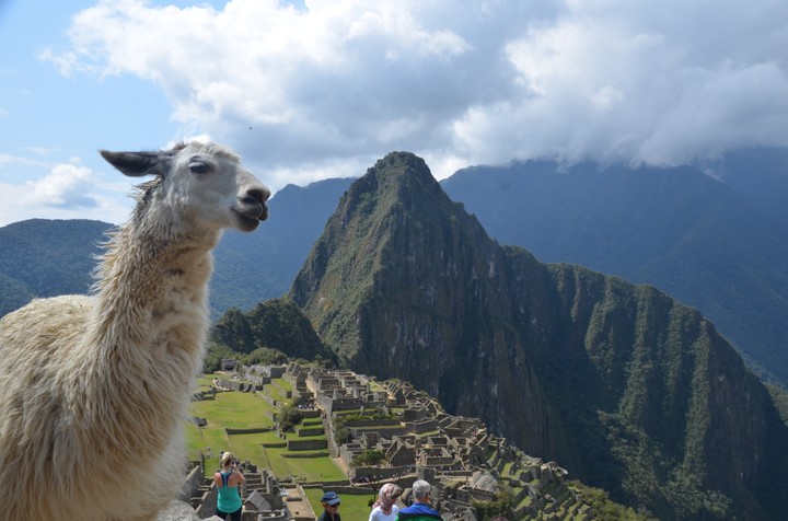 Machu Picchu