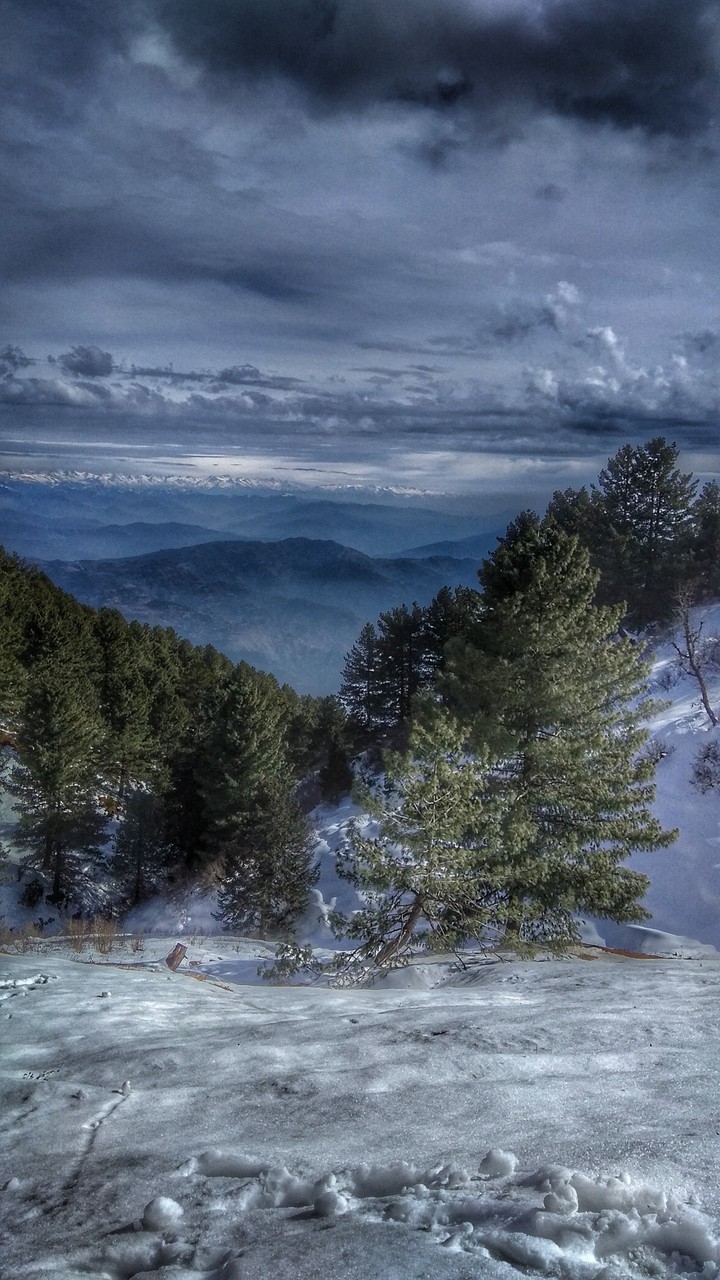 Mushkpuri Top Pakistan