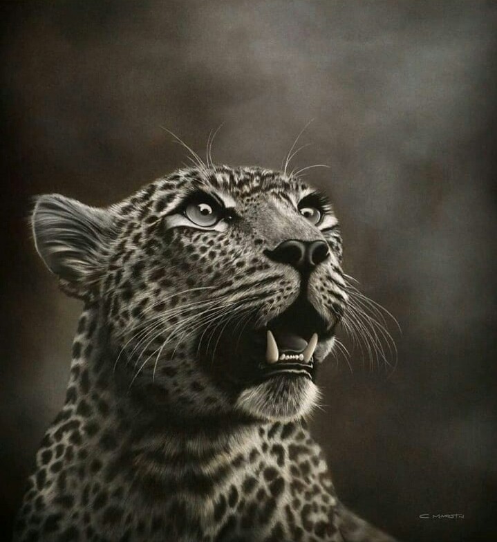 ..