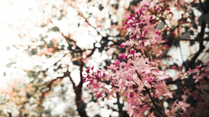 between regret, love and hope