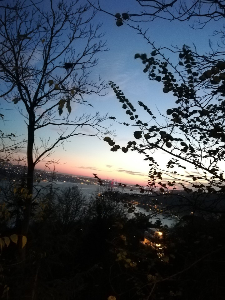 bogazici