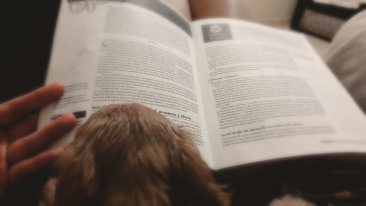 libro