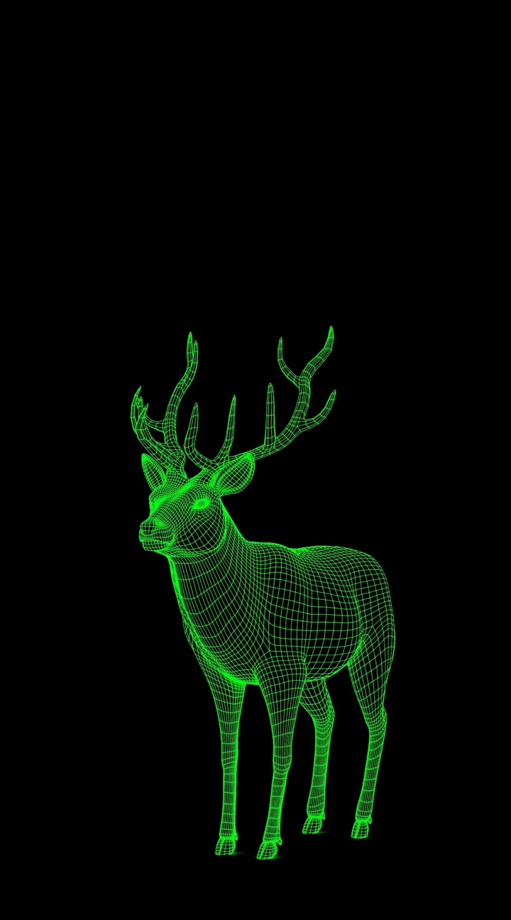 Deer