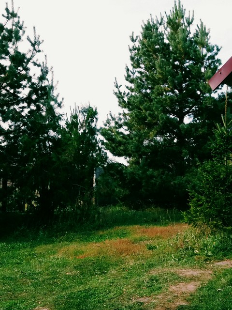 отдых