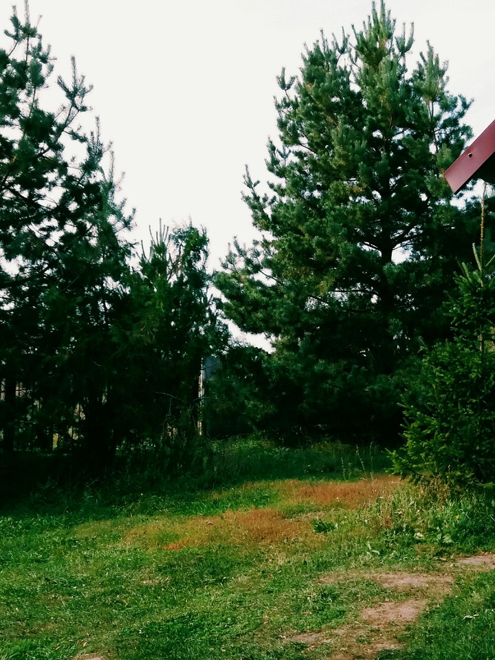 отдых