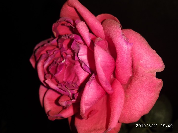for u