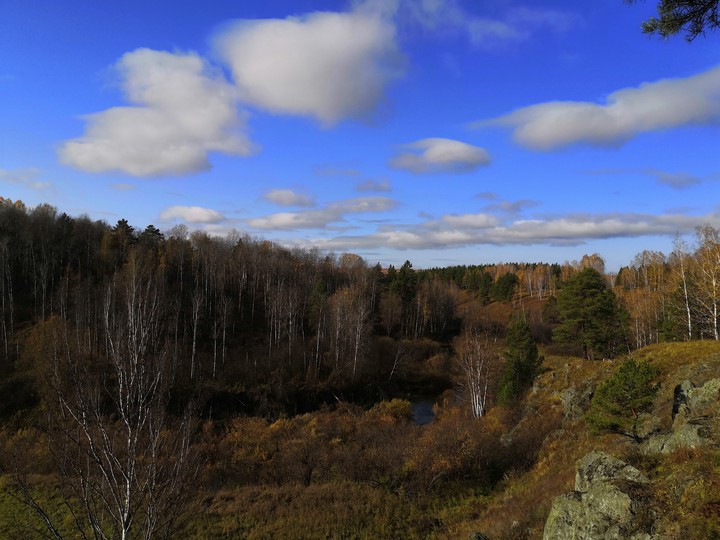 Fall