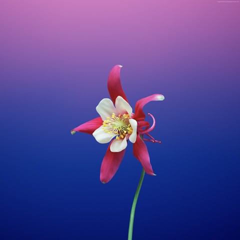 make your screen beautiful...