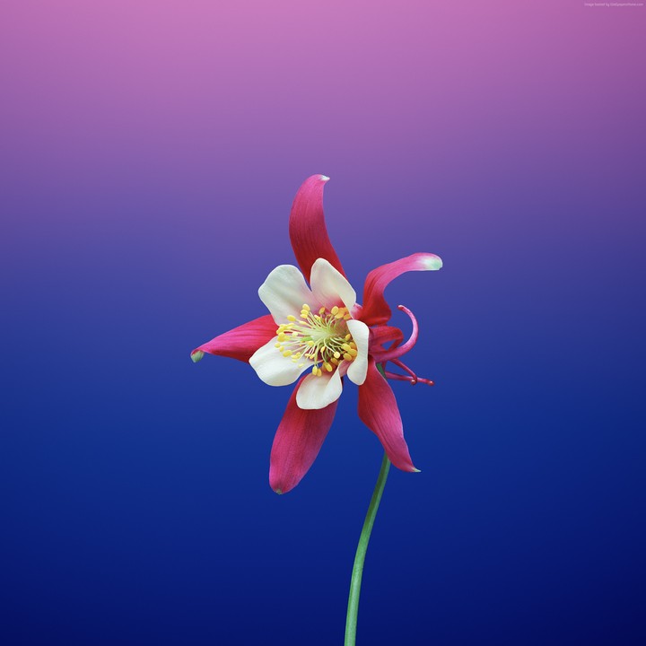 make your screen beautiful...