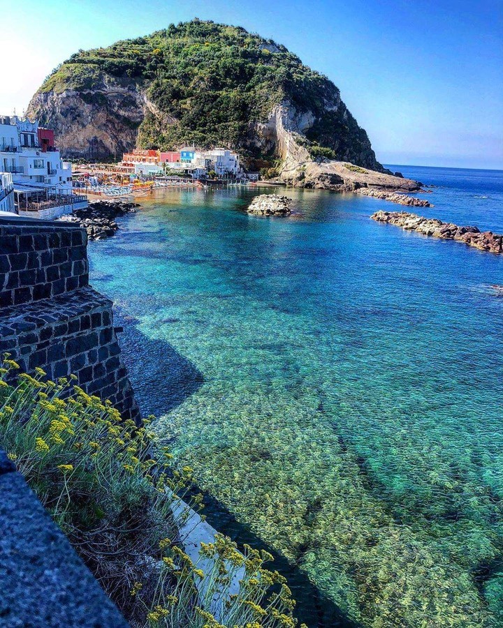 mare