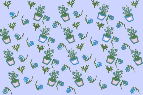 Plants