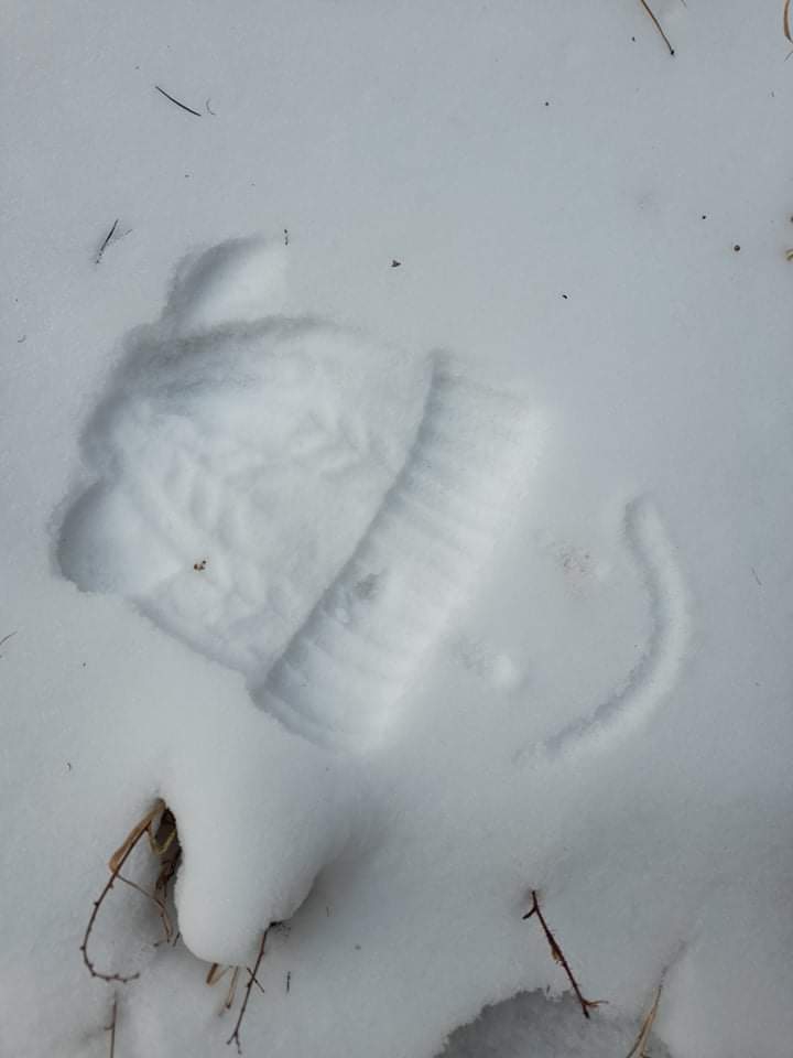 snow
