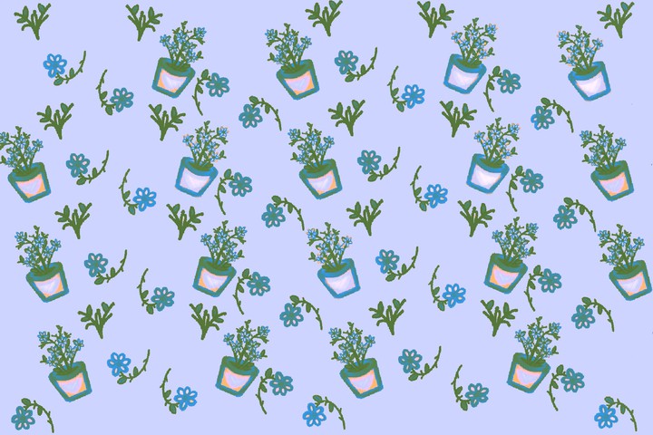 Plants