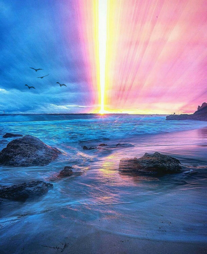 ☀️☀️☀️