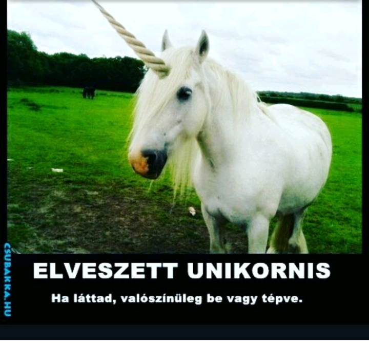 egyszarvú