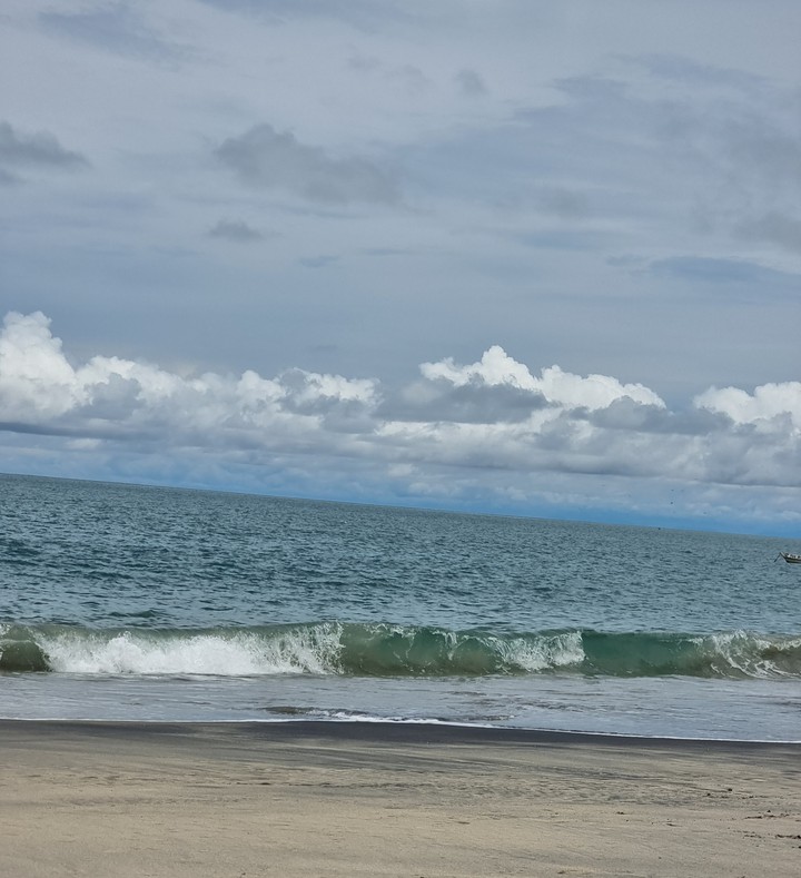 farallon