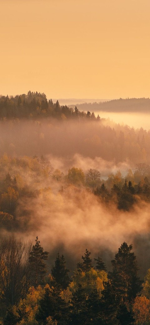 fog, sky壁纸